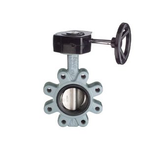 SG Iron Wafer Butterfly Valves, PN16, EPDM ST ST Disc, Gear Operated