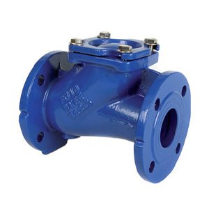 Albion Valves Art 172, PN16, Ductile Iron Ball Check Valve