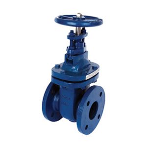 Albion Valves Art 210, BS 10, Cast Iron Gate Valve