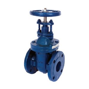 Albion Valves Art 235, PN16, Cast Iron Gate Valve