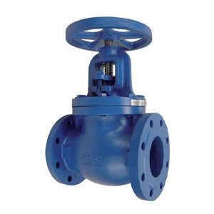 Albion Valves Art 260, PN16, Cast Iron Globe Valve